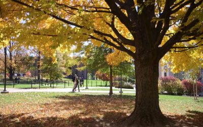 Kutztown University – Student Life